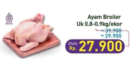 Promo Harga Ayam Broiler 800 gr - Hypermart