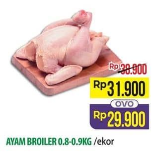 Promo Harga Ayam Broiler 800 gr - Hypermart