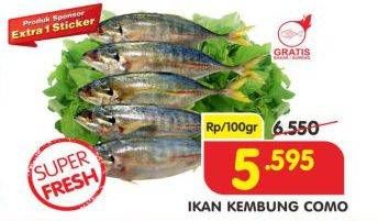 Promo Harga Ikan Kembung Como per 100 gr - Superindo