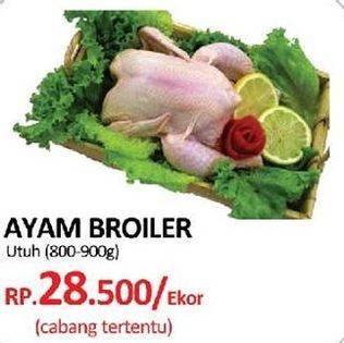 Promo Harga Ayam Broiler  - Yogya