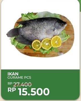 Promo Harga Ikan Gurame  - Yogya