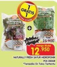 Promo Harga Sayur Hidroponik  - Superindo