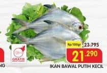 Promo Harga Ikan Bawal Putih Kecil per 100 gr - Superindo