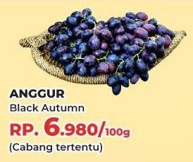 Promo Harga Anggur Black Autumn per 100 gr - Yogya