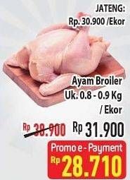 Promo Harga Ayam Broiler 800 gr - Hypermart