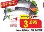 Promo Harga Ikan Bawal Tawar per 100 gr - Superindo