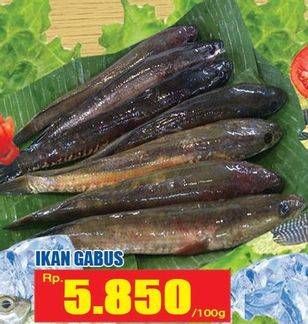 Promo Harga Ikan Gabus per 100 gr - Hari Hari