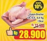 Promo Harga Ayam Broiler 800 gr - Hypermart