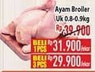 Promo Harga Ayam Broiler 800 gr - Hypermart