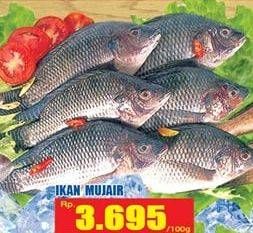 Promo Harga Ikan Mujair per 100 gr - Hari Hari