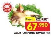 Promo Harga Ayam Kampung Jumbo  - Superindo