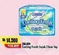 Promo Harga Charm Cooling Fresh Sejuk Wing 23cm 14 pcs - Alfamart