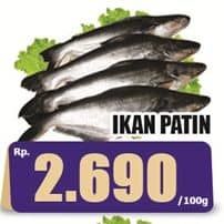 Promo Harga Ikan Patin per 100 gr - Hari Hari