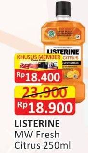 Promo Harga Listerine Mouthwash Antiseptic Fresh Citrus 250 ml - Alfamart