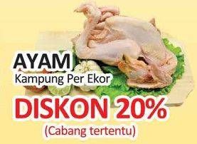 Promo Harga Ayam Kampung  - Yogya