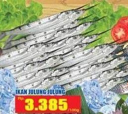 Promo Harga Ikan Julung Julung per 100 gr - Hari Hari