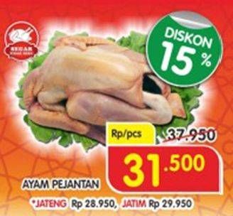 Promo Harga Ayam Pejantan  - Superindo