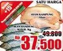 Promo Harga AYam Kampung / Ikan Bandeng SUper  - Giant