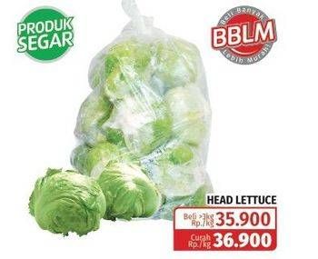 Promo Harga Lettuce Sayur Head  - Lotte Grosir