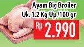 Promo Harga Ayam Broiler per 100 gr - Hypermart