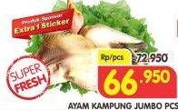 Promo Harga Ayam Kampung Jumbo  - Superindo