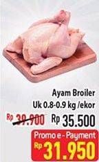 Promo Harga Ayam Broiler 800 gr - Hypermart