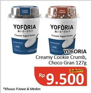 Promo Harga YOFORIA Yoghurt Cremy Cookie Crumb, Choco Gran 127 gr - Alfamidi