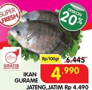 Promo Harga Ikan Gurame per 100 gr - Superindo