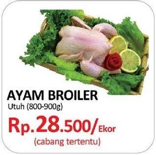 Promo Harga Ayam Broiler  - Yogya