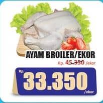 Promo Harga Ayam Broiler 500 gr - Hari Hari