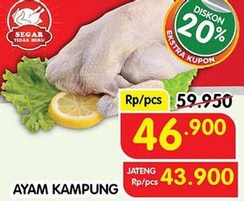 Promo Harga Ayam Kampung 600 gr - Superindo