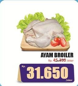 Promo Harga Ayam Broiler 500 gr - Hari Hari