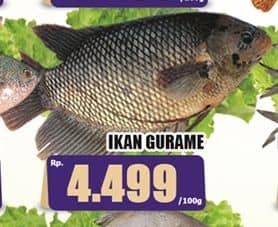 Promo Harga Ikan Gurame per 100 gr - Hari Hari