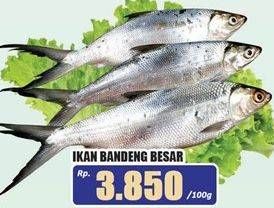 Promo Harga Ikan Bandeng Besar per 100 gr - Hari Hari