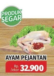 Promo Harga Ayam Pejantan  - Lotte Grosir