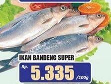 Promo Harga Ikan Bandeng Super per 100 gr - Hari Hari