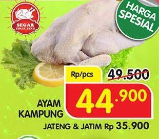 Promo Harga Ayam Kampung  - Superindo