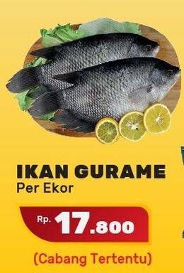 Promo Harga Ikan Gurame  - Yogya