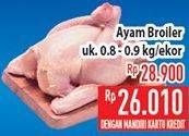 Promo Harga Ayam Broiler  - Hypermart