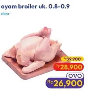 Promo Harga Ayam Broiler 800 gr - Hypermart