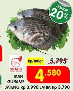 Promo Harga Ikan Gurame per 100 gr - Superindo