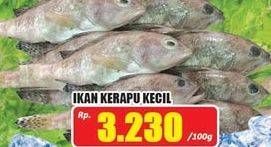 Promo Harga Ikan Kerapu Kecil per 100 gr - Hari Hari