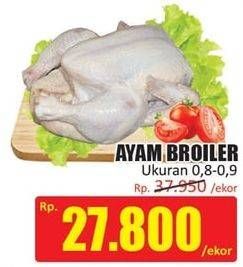 Promo Harga Ayam Broiler Ekor  - Hari Hari