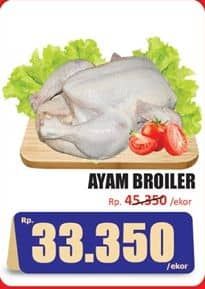 Promo Harga Ayam Broiler 500 gr - Hari Hari