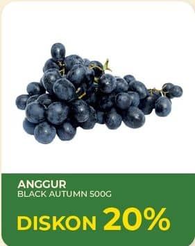 Promo Harga Anggur Black Autumn per 500 gr - Yogya