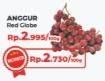 Promo Harga Anggur Red Globe per 100 gr - Yogya