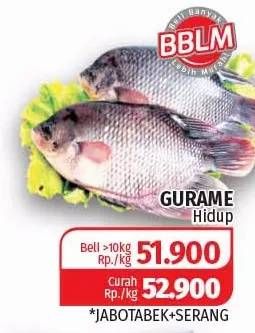 Promo Harga Ikan Gurame Hidup  - Lotte Grosir