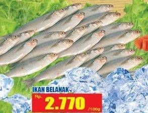 Promo Harga Ikan Belanak per 100 gr - Hari Hari