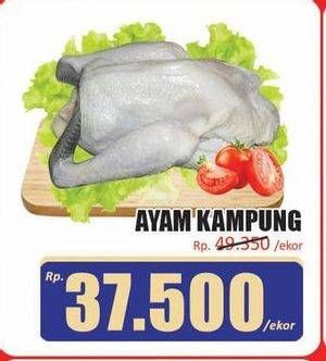 Promo Harga Ayam Kampung 600 gr - Hari Hari