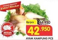 Promo Harga Ayam Kampung  - Superindo